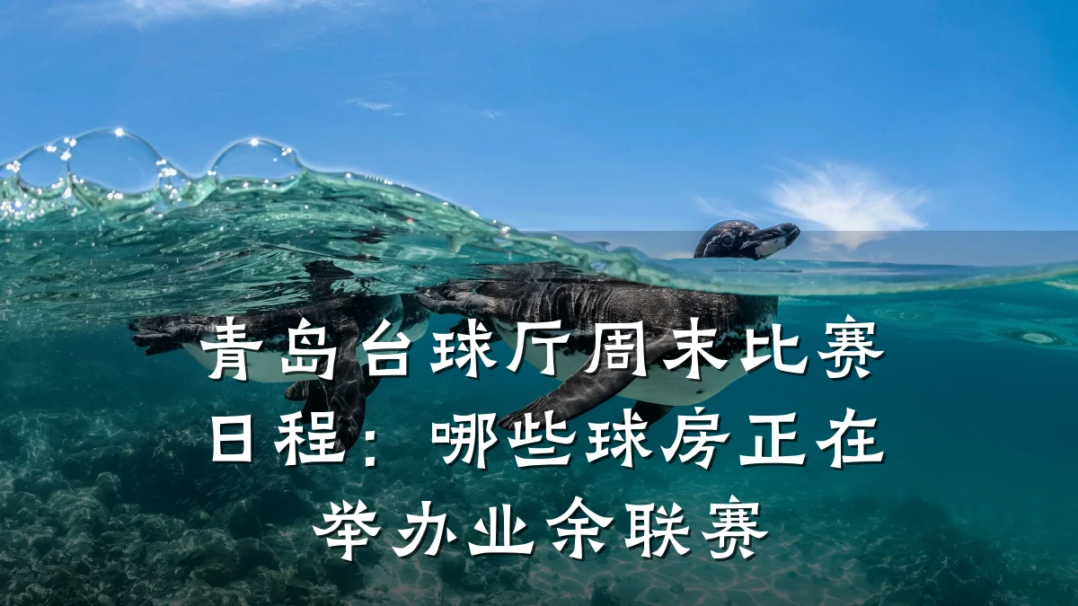 青岛台球厅周末比赛日程：哪些球房正在举办业余联赛