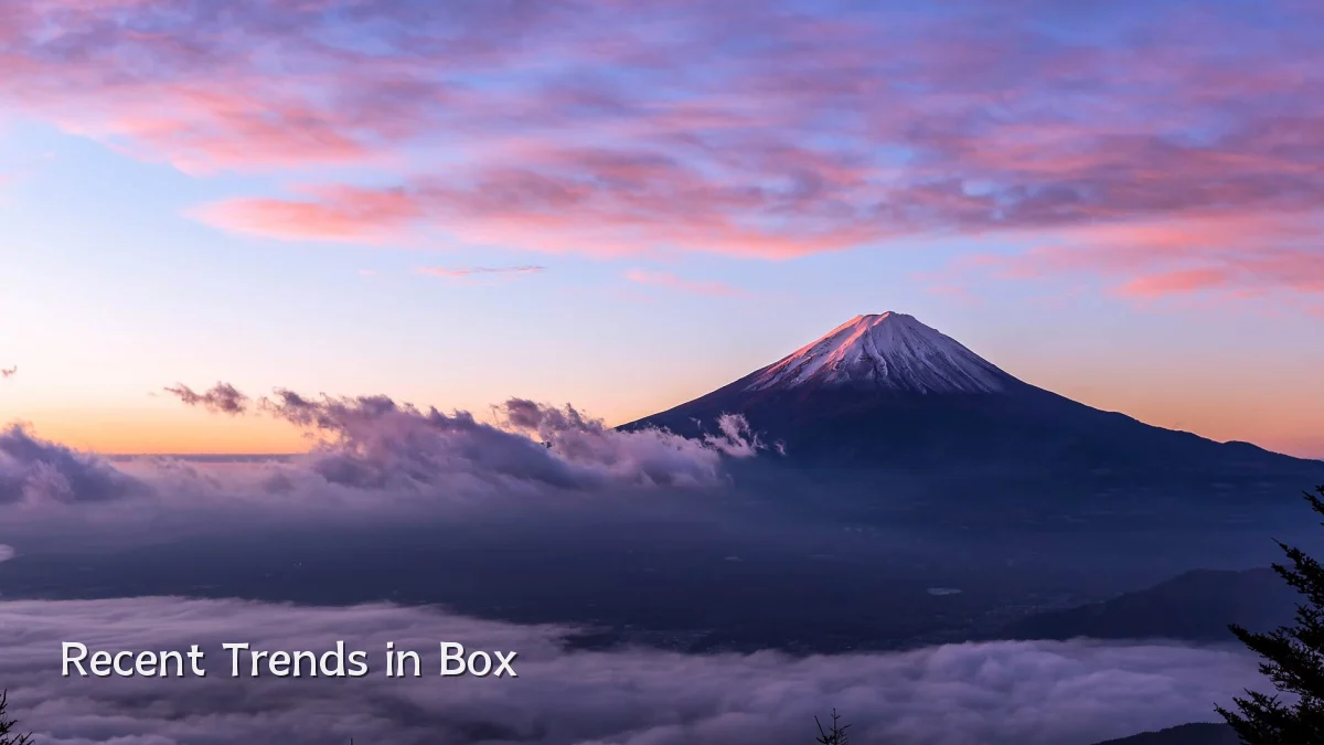 Recent Trends in Box