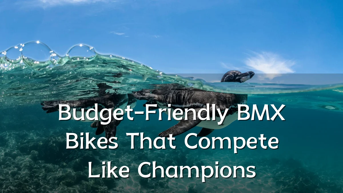 Budget-Friendly BMX Bikes That Compete Like Champions