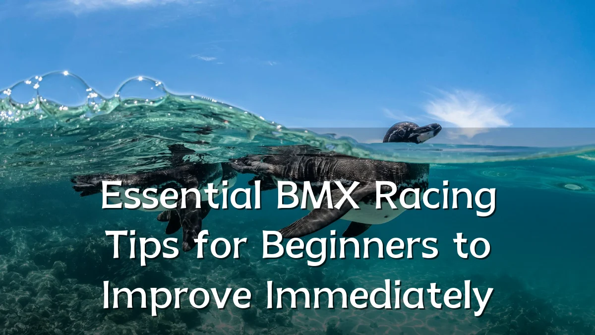 Essential BMX Racing Tips for Beginners to Improve Immediately