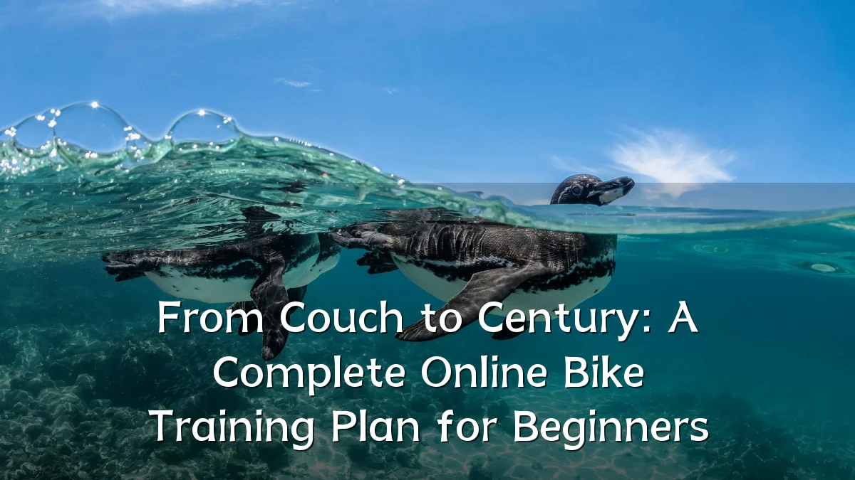 From Couch to Century: A Complete Online Bike Training Plan for Beginners
