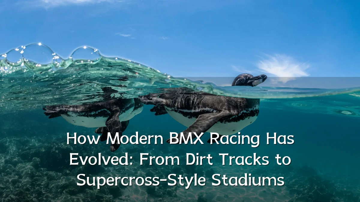 How Modern BMX Racing Has Evolved: From Dirt Tracks to Supercross-Style Stadiums