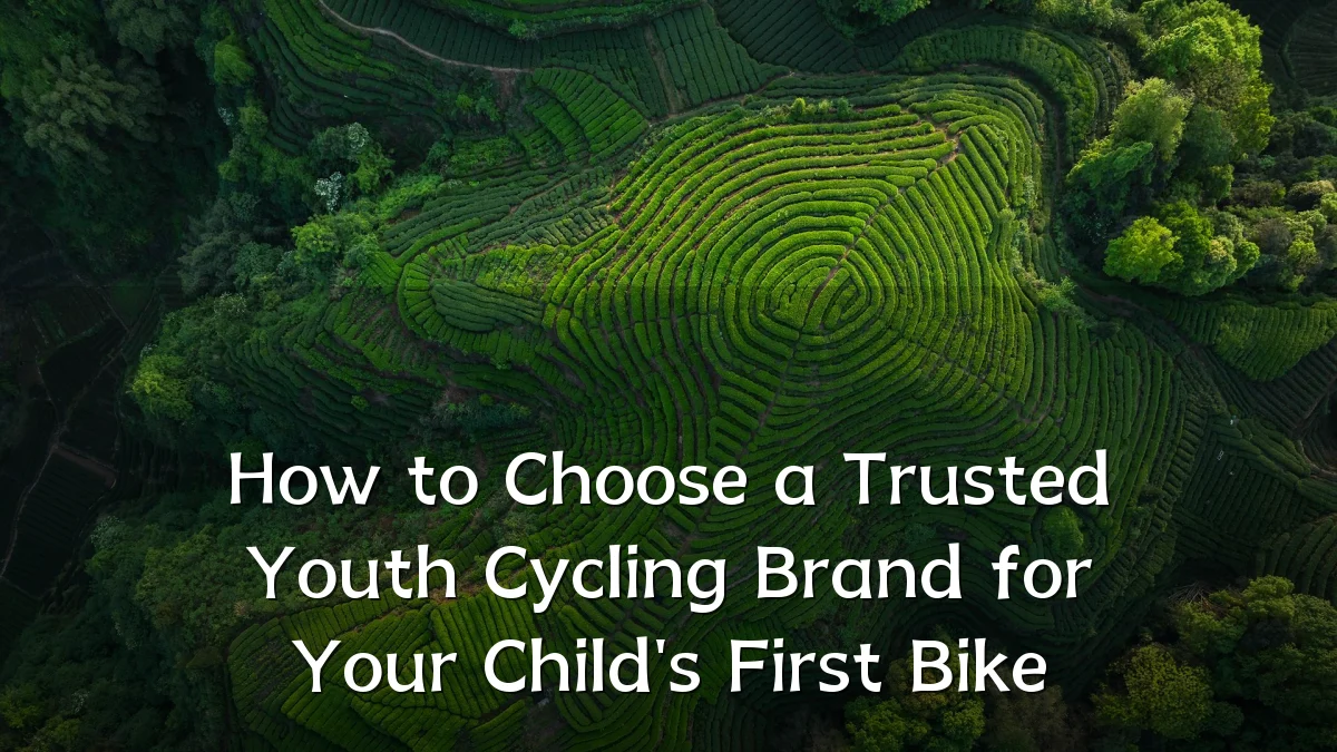 How to Choose a Trusted Youth Cycling Brand for Your Child's First Bike