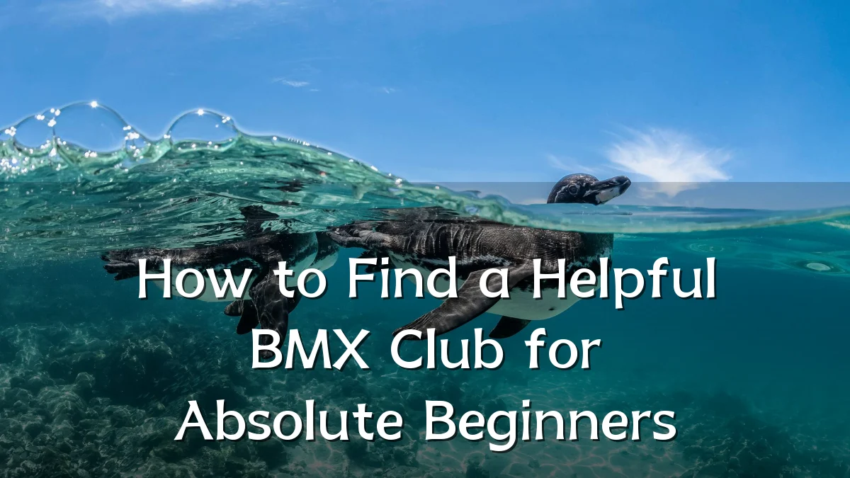 How to Find a Helpful BMX Club for Absolute Beginners