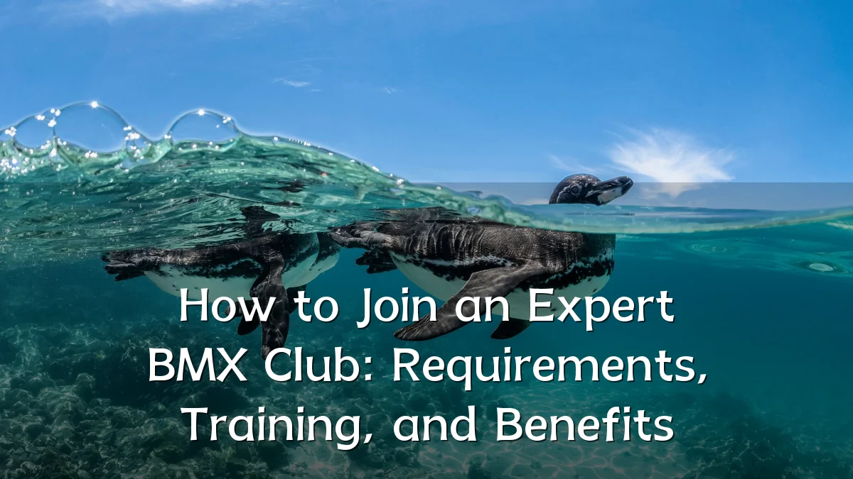 How to Join an Expert BMX Club: Requirements, Training, and Benefits