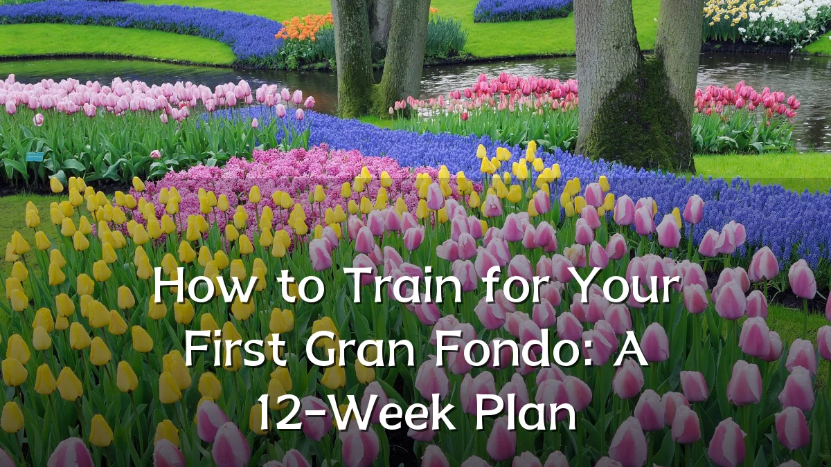 How to Train for Your First Gran Fondo: A 12-Week Plan