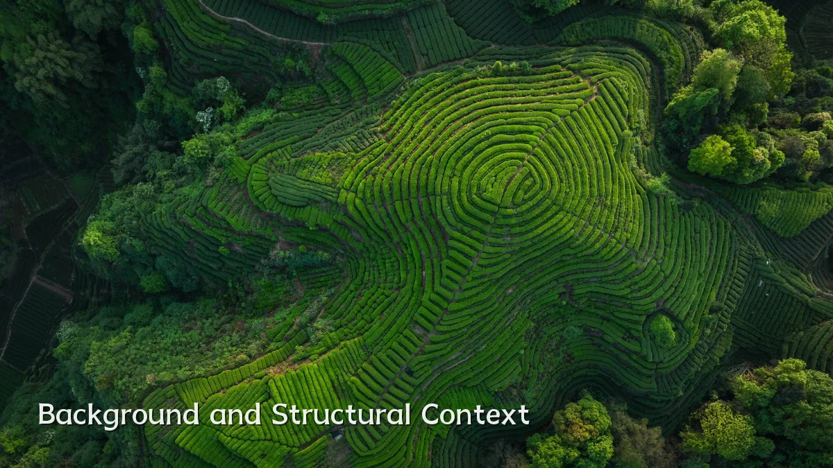 Background and Structural Context