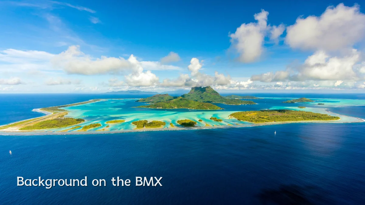 Background on the BMX