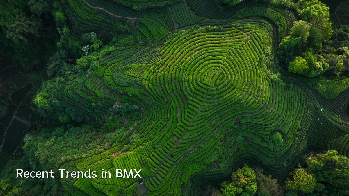 Recent Trends in BMX