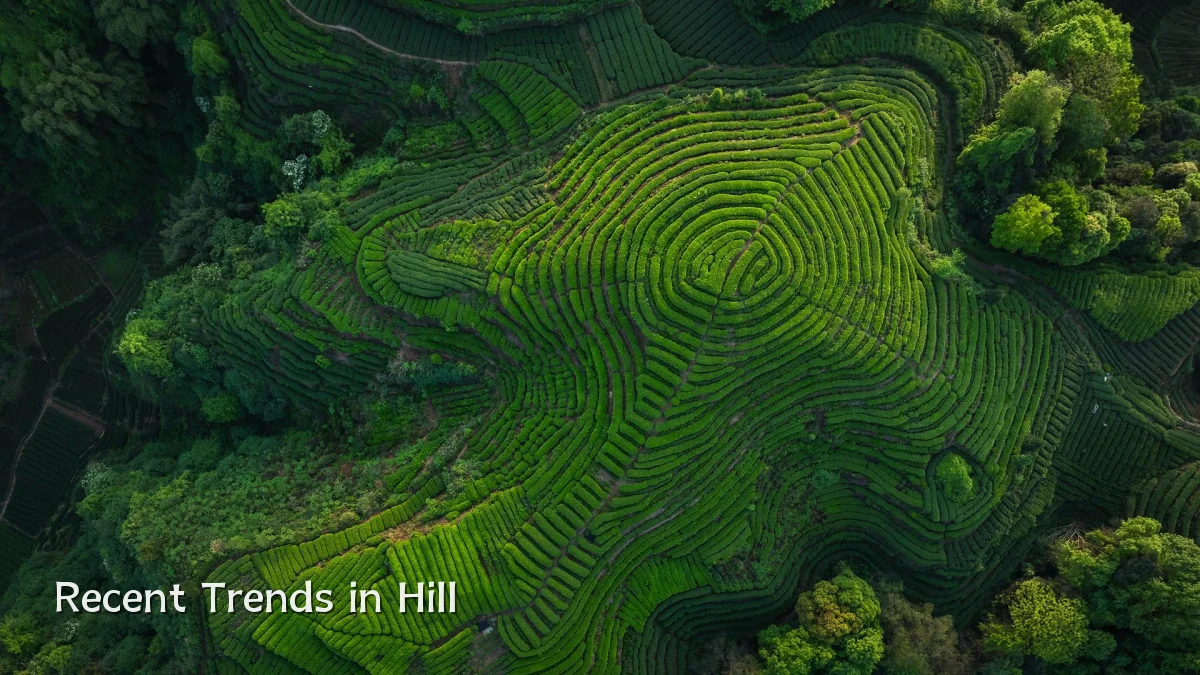 Recent Trends in Hill