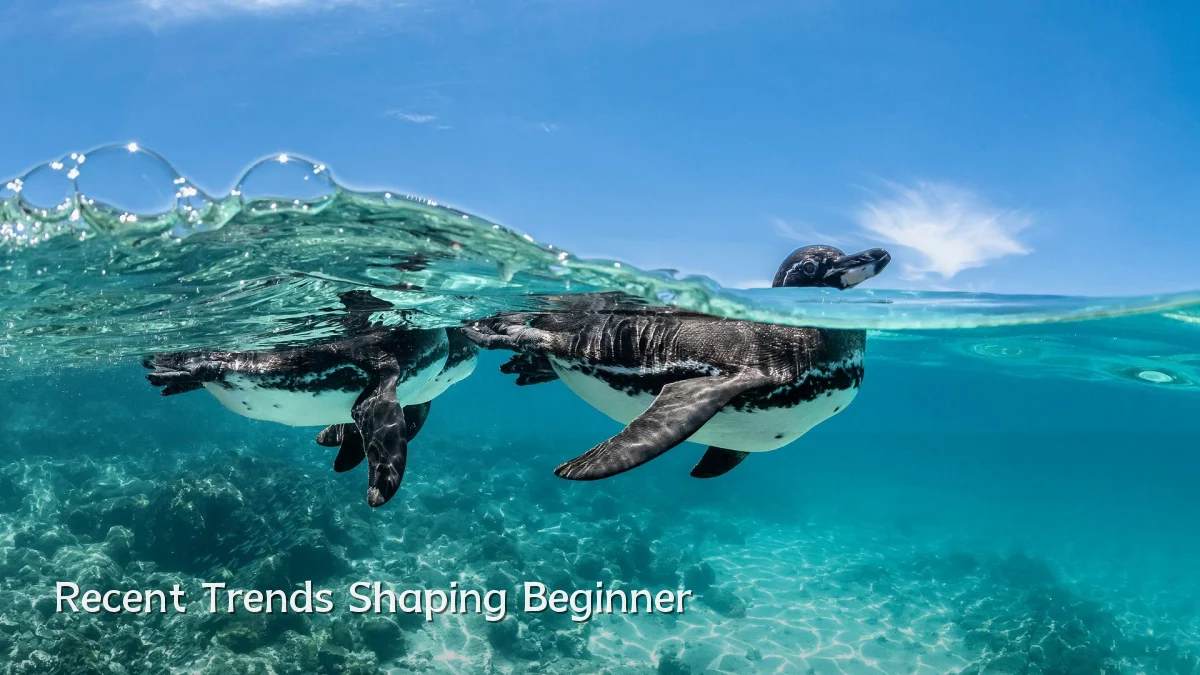 Recent Trends Shaping Beginner
