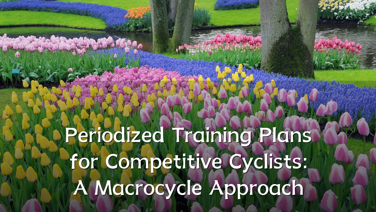 Periodized Training Plans for Competitive Cyclists: A Macrocycle Approach