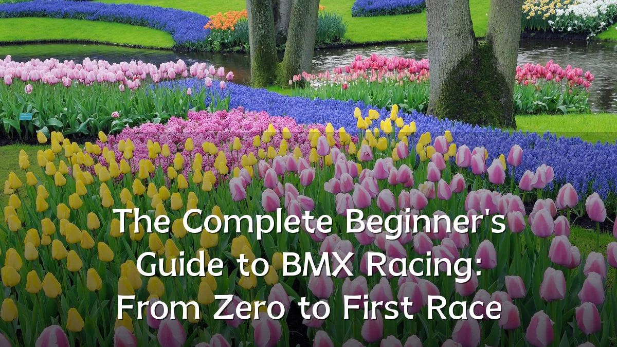 The Complete Beginner's Guide to BMX Racing: From Zero to First Race