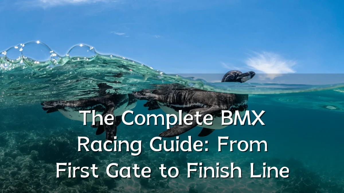 The Complete BMX Racing Guide: From First Gate to Finish Line