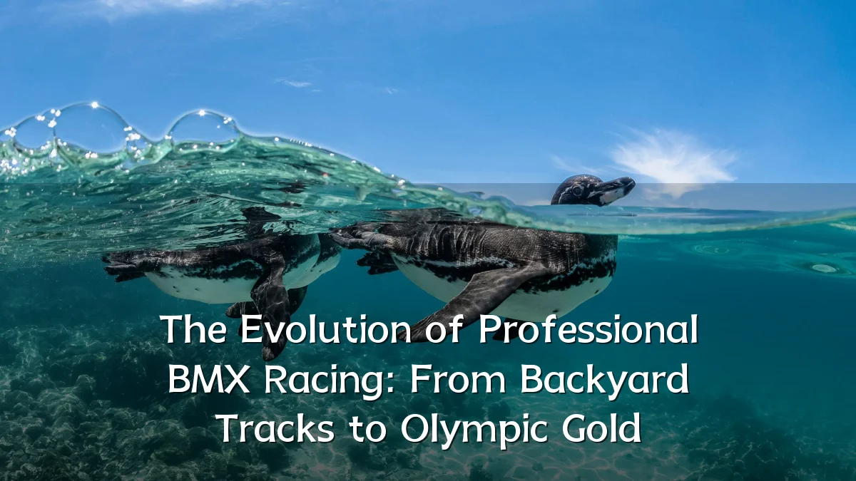 The Evolution of Professional BMX Racing: From Backyard Tracks to Olympic Gold