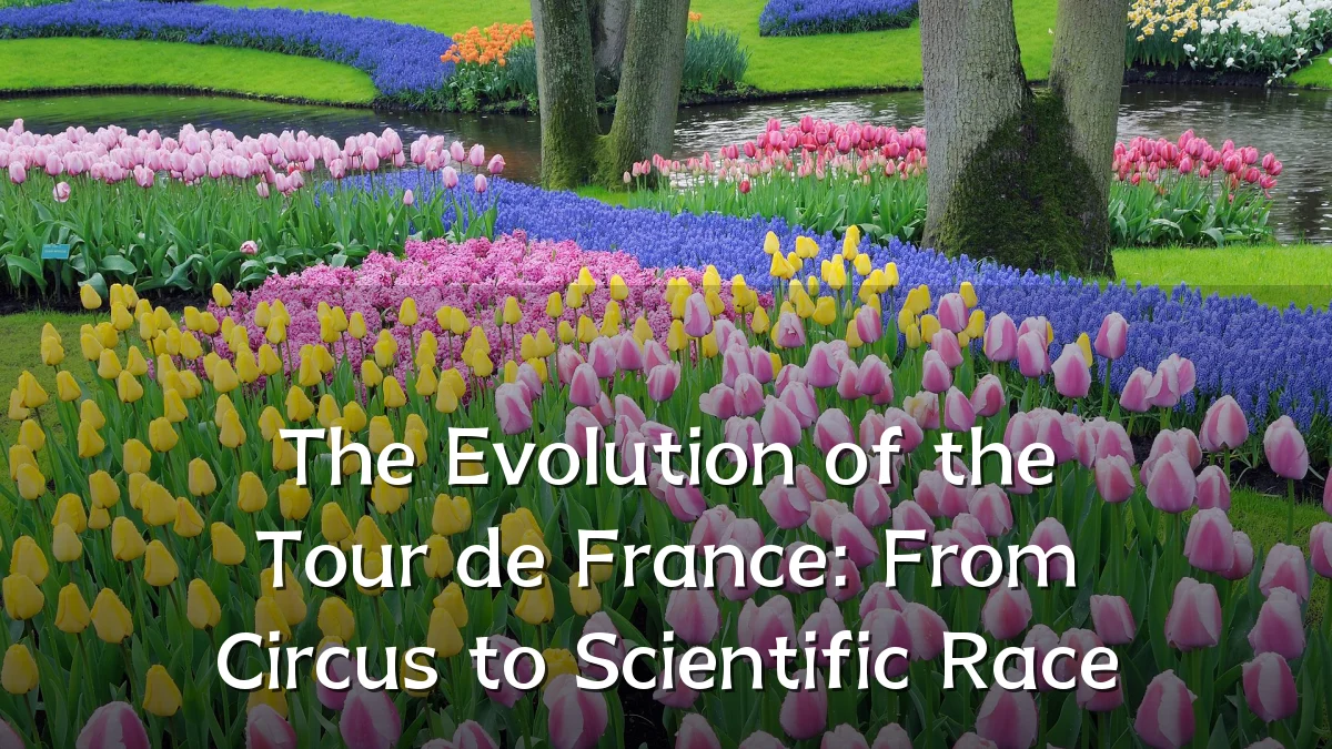 The Evolution of the Tour de France: From Circus to Scientific Race