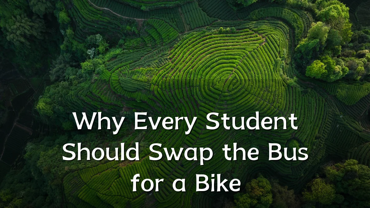 Why Every Student Should Swap the Bus for a Bike