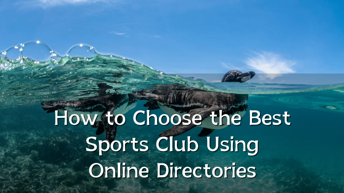 How to Choose the Best Sports Club Using Online Directories