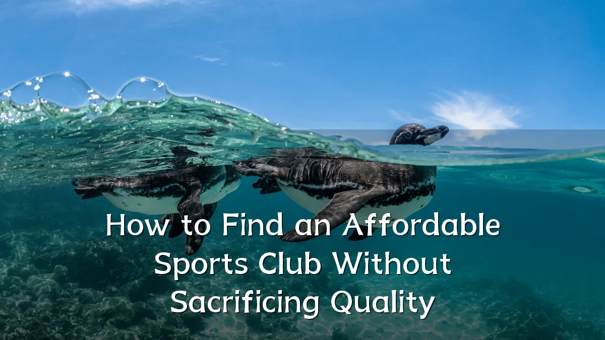 How to Find an Affordable Sports Club Without Sacrificing Quality
