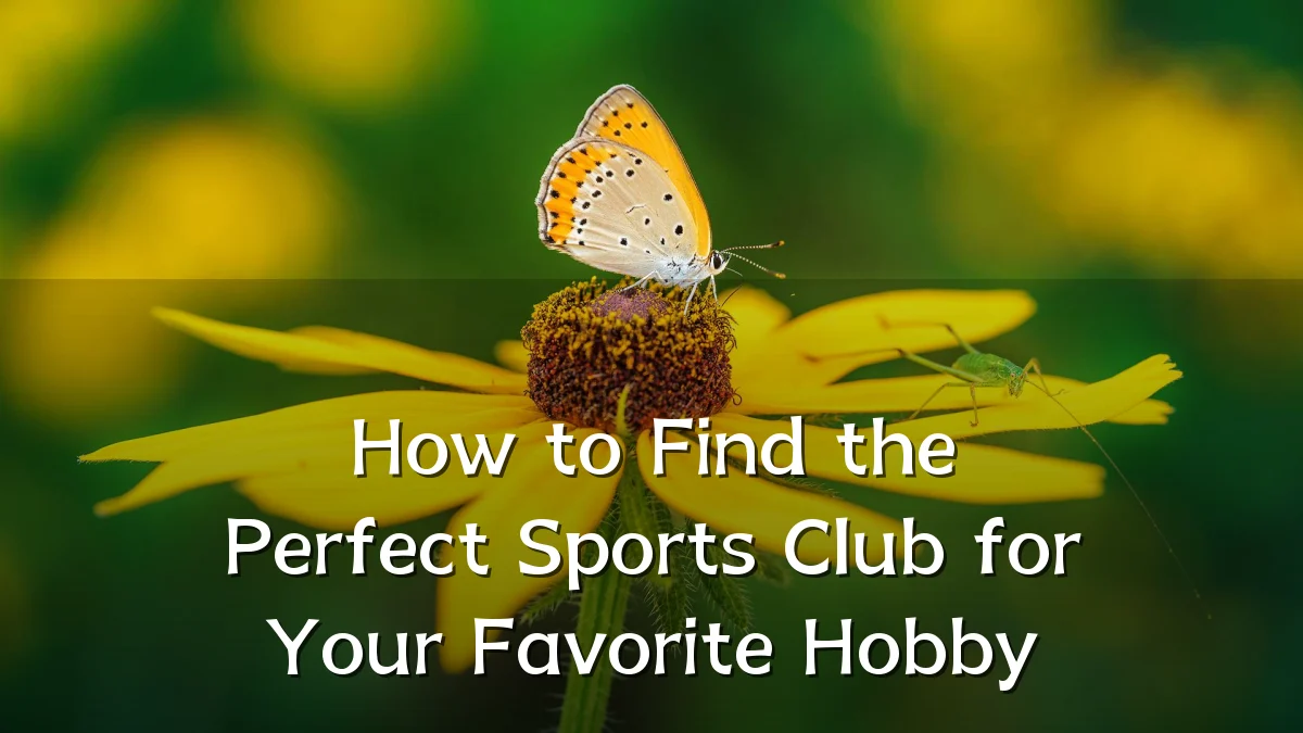 How to Find the Perfect Sports Club for Your Favorite Hobby