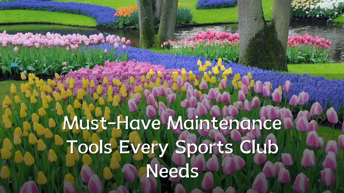 Must-Have Maintenance Tools Every Sports Club Needs