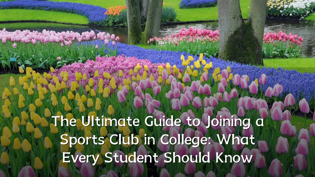 The Ultimate Guide to Joining a Sports Club in College: What Every Student Should Know