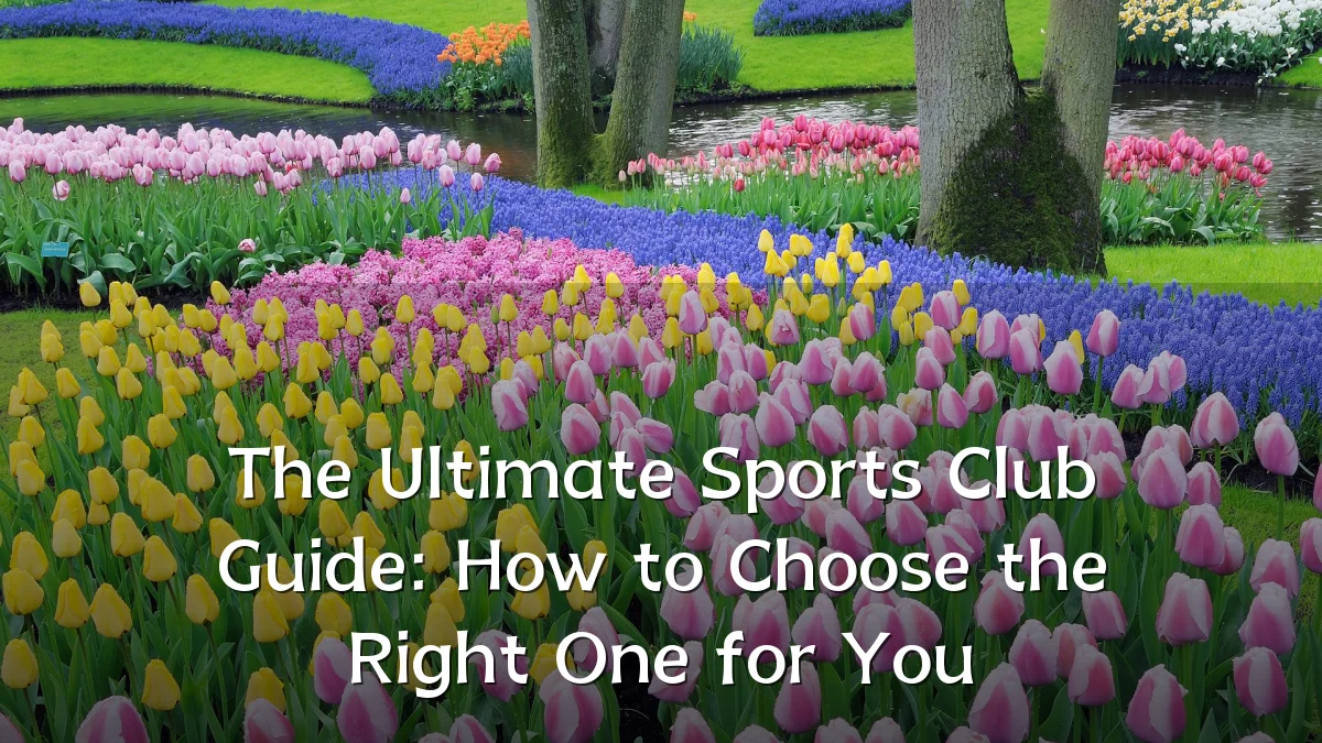The Ultimate Sports Club Guide: How to Choose the Right One for You