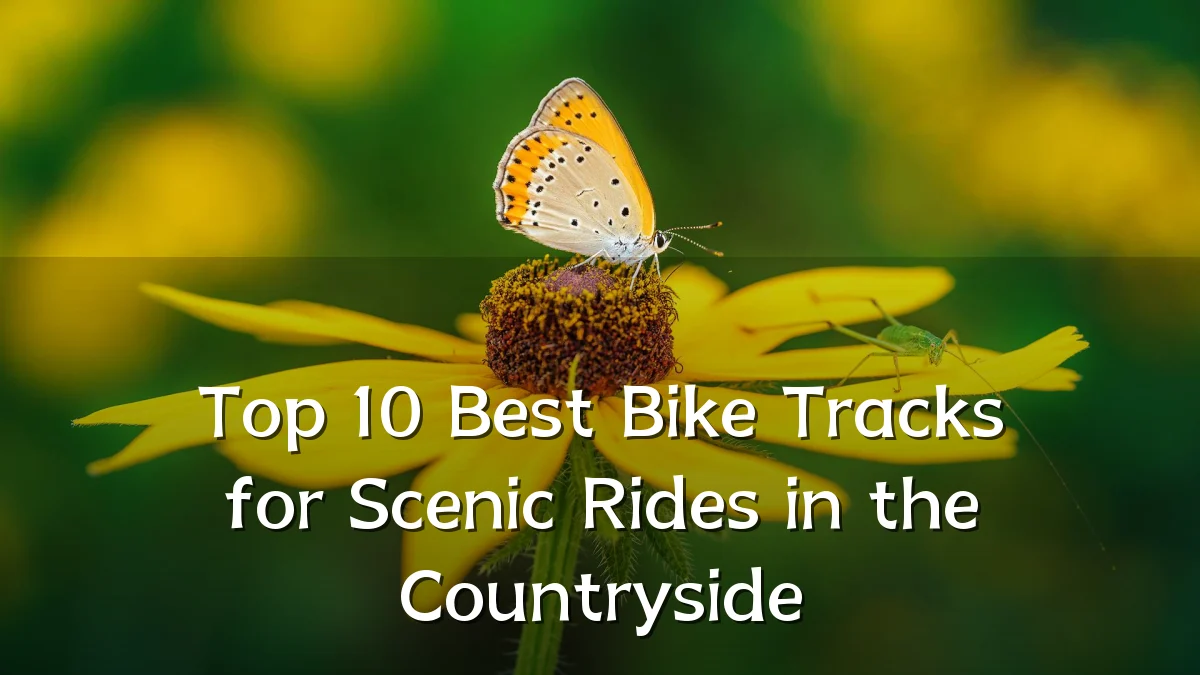 Top 10 Best Bike Tracks for Scenic Rides in the Countryside