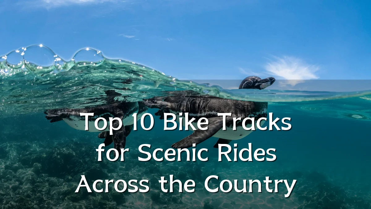 Top 10 Bike Tracks for Scenic Rides Across the Country