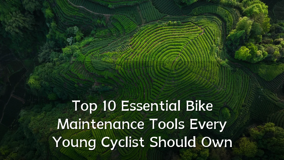 Top 10 Essential Bike Maintenance Tools Every Young Cyclist Should Own