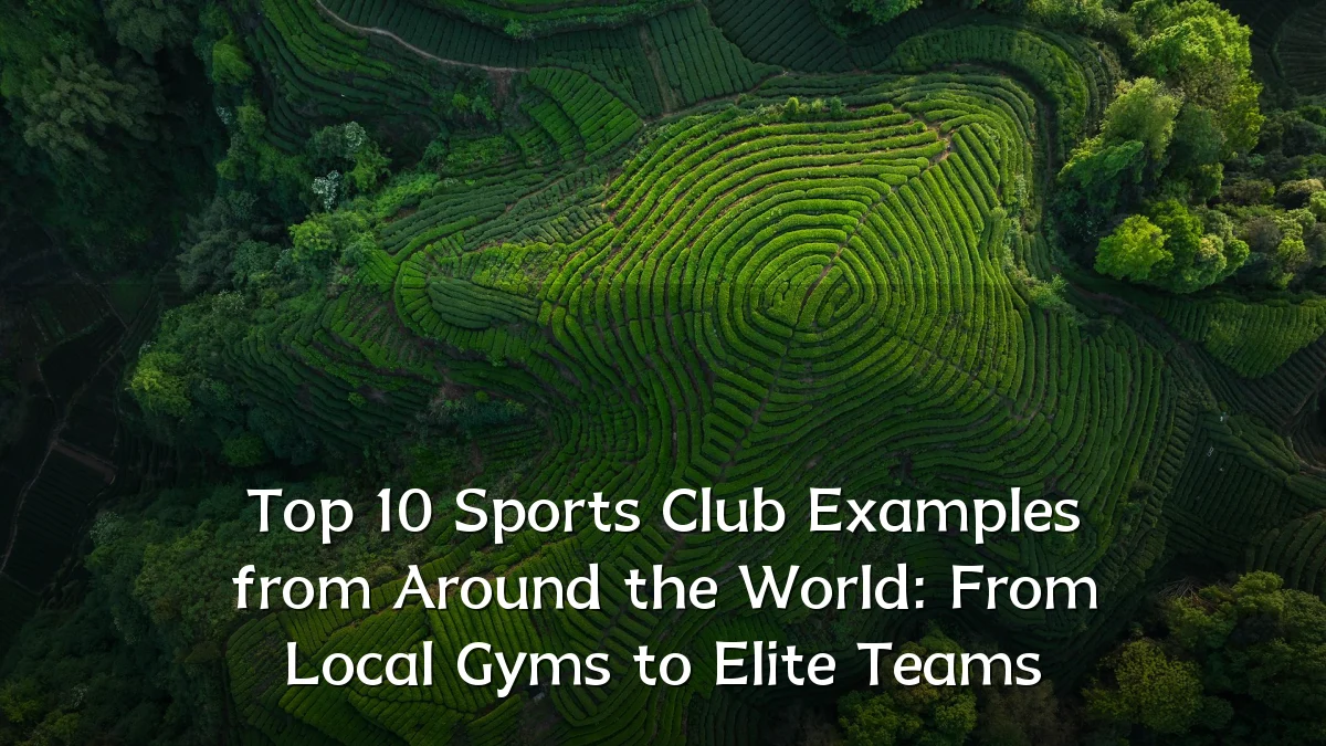 Top 10 Sports Club Examples from Around the World: From Local Gyms to Elite Teams
