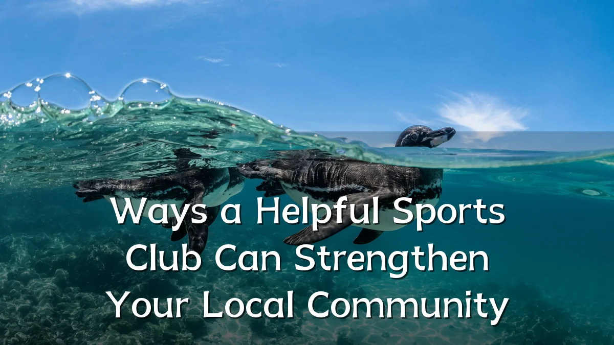 Ways a Helpful Sports Club Can Strengthen Your Local Community