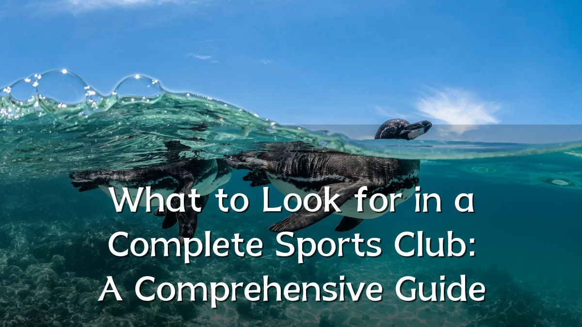 What to Look for in a Complete Sports Club: A Comprehensive Guide