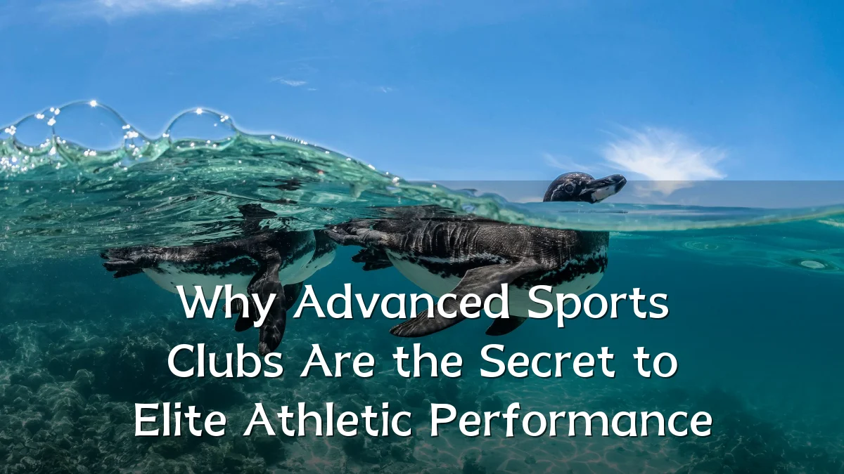 Why Advanced Sports Clubs Are the Secret to Elite Athletic Performance